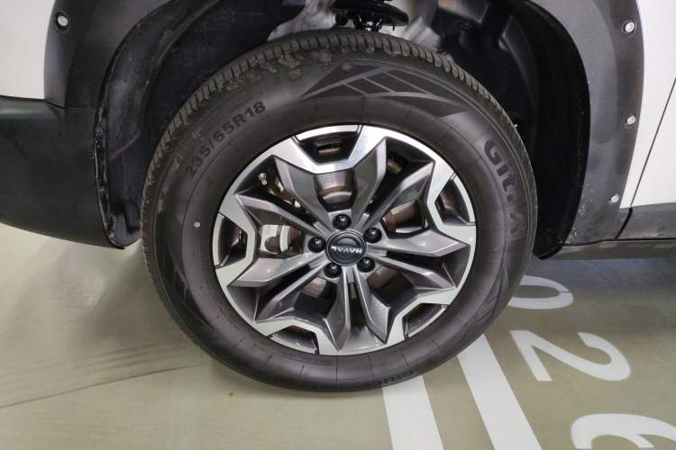 Used Haval DARGO 2024 2.0T DCT Chinese Rural Dog Edition
