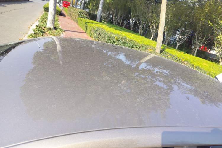 Used Volkswagen Jetta 2015 Value Edition 1.6L Manual Fashionable Style
