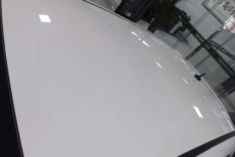 Used ORA Black Cat 2021 301 km Basic Version
