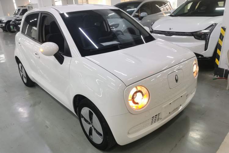 Used ORA Black Cat 2022 Updated Version 301 km Cute Pet Edition Lithium Iron Phosphate