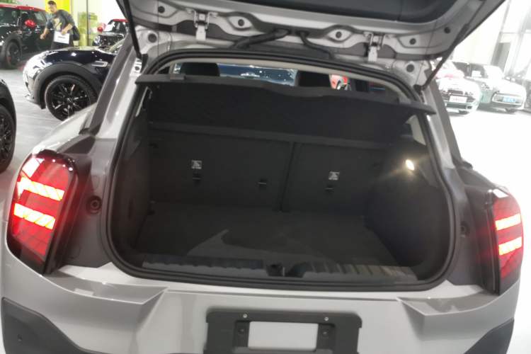 Used  Electric MINI ACEMAN 2024 E Classic Edition
