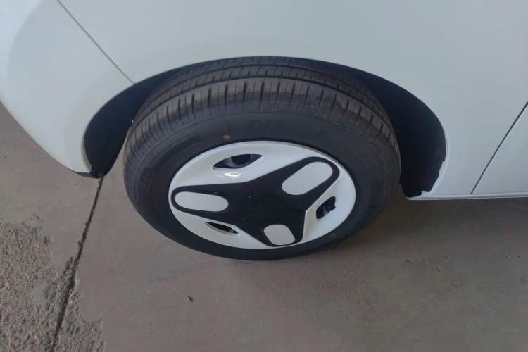 Used  Panda 2025 210 km – Yuanqi Bear
