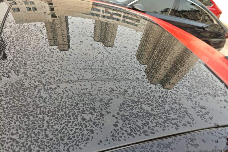 Used Volkswagen Lamando 2021 280TSI DSG Comfort Edition
