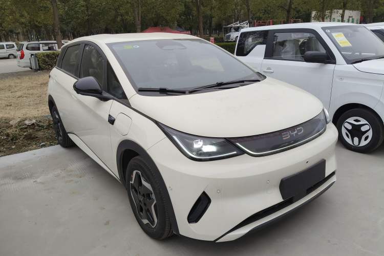 Used BYD Dolphin 2025 Smart Drive Version 420 km Freedom Edition
