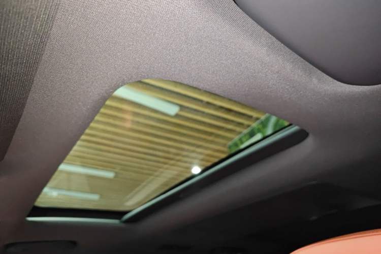 Used  eπ008 2024 636Max All-Electric Version 6 Seats
