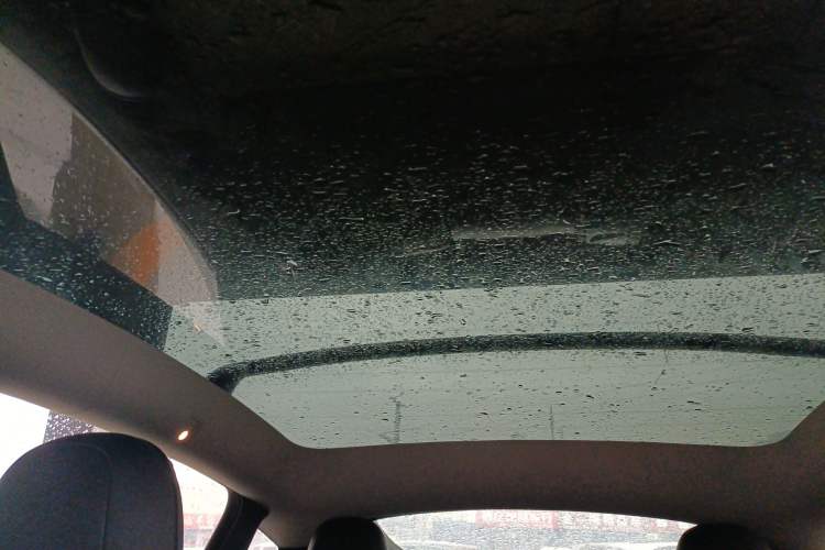 Used Tesla Model Y 2021 Performance High-Performance All-Wheel-Drive Version
