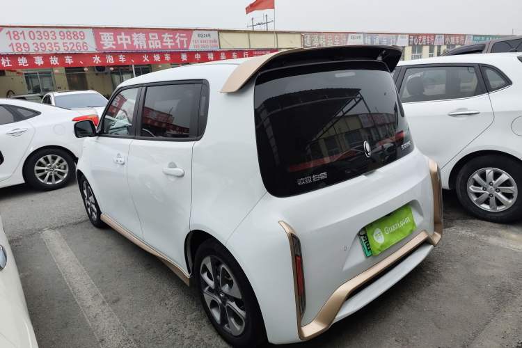 Used ORA White Cat 2022 Xiaoyue Mao Edition 360 km Luxury Model Lithium NMC