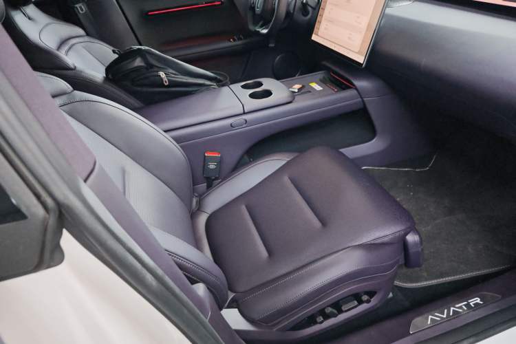 Used  06 2025 Ultra Pure Electric Edition
