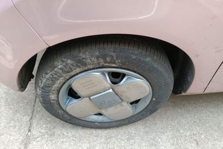 Used  Panda 2023 Panda Mini 200km Endurance Bear
