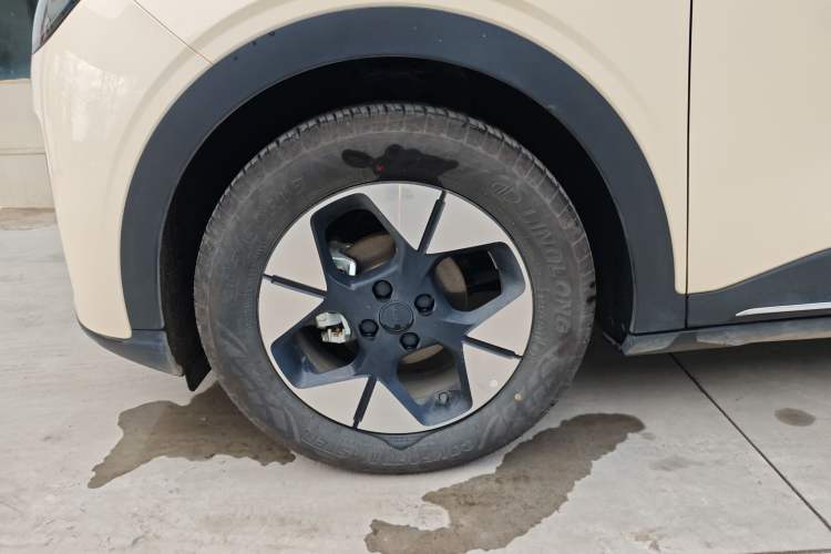 Used  Geome 2025 UP 410km Exploration Edition
