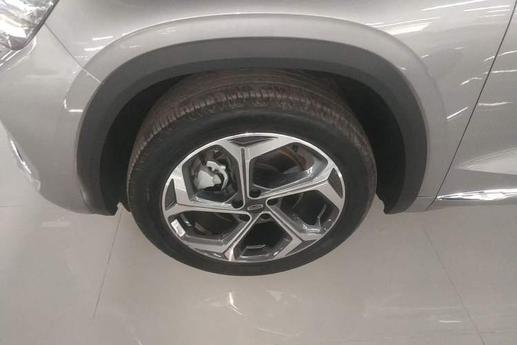 Used Geely Auto Monjaro L 2021 2.0TD DCT EVO Two-Wheel Drive Prestige Version
