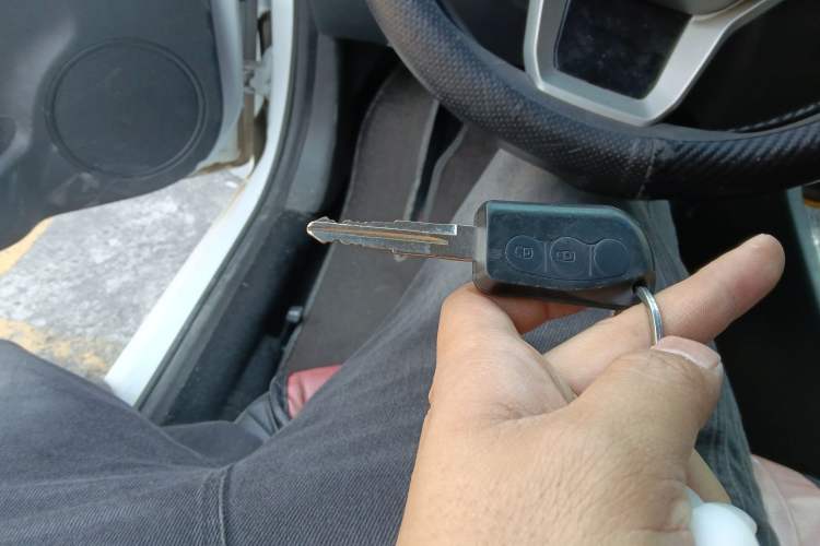 Used JMEV Xiao Qilin 2023 Joyful Edition 201km Comfort Model
