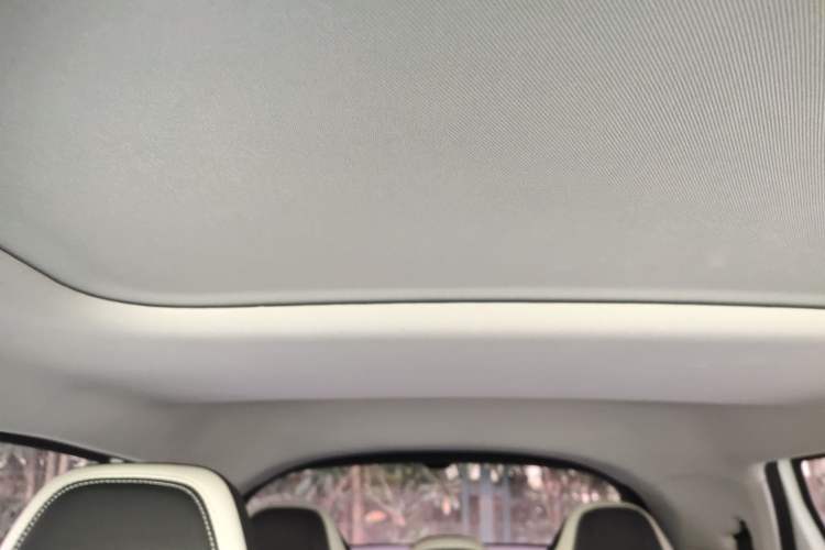 Used Geometry E Firefly 2023 401KM Linglong Tiger 5-Seater