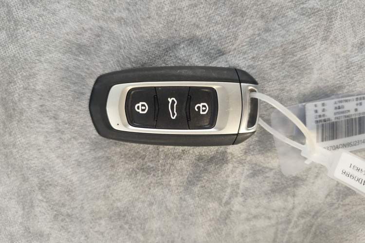 Used  Panda 2024 Panda Mini 200km Endurance Bear
