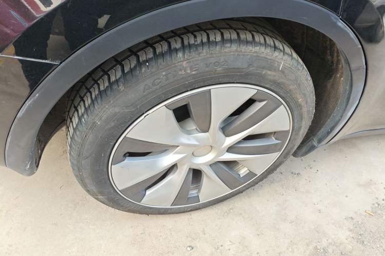 Used Tesla Model Y 2021 Standard Range Rear-Wheel Drive Version
