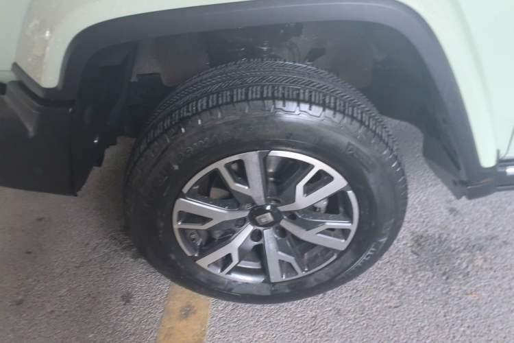 Used Tank 300 2024 2.0T Crosser
