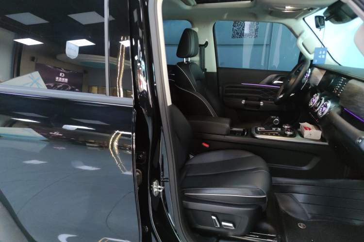 Used Tank 300 2024 2.0T Conqueror
