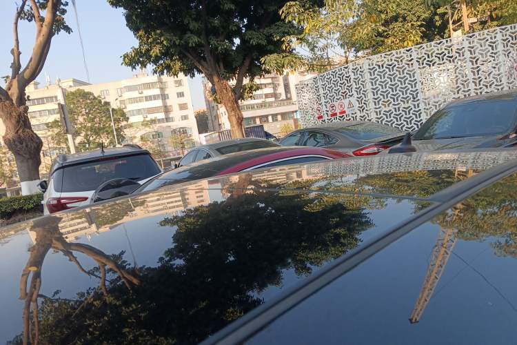 Used Volkswagen Passat 2019 330TSI Prestige Edition China VI Standard
