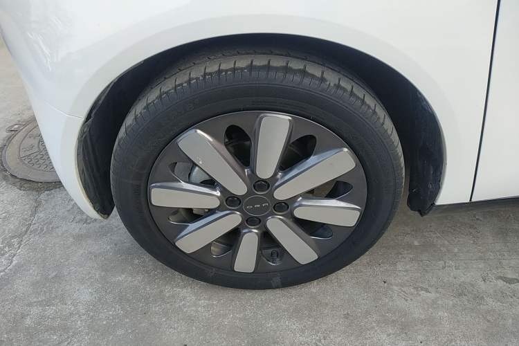 Used ORA Black Cat 2019 351 km Family Edition