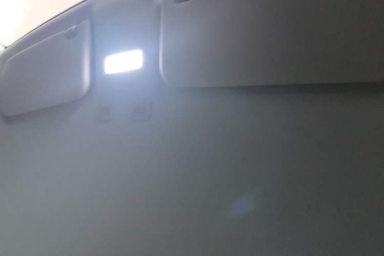 Used  Panda 2024 Panda Mini 200km Dragon Edition
