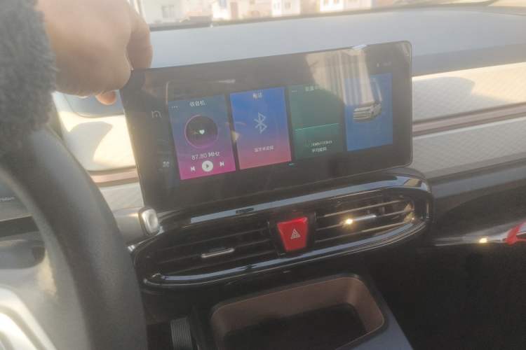 Used SOL E10X 2022 Flower Fairy Design Four-Leaf Clover