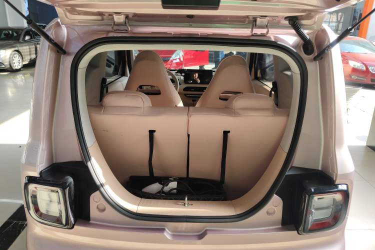 Used  Panda 2023 Panda Mini 200km Endurance Bear
