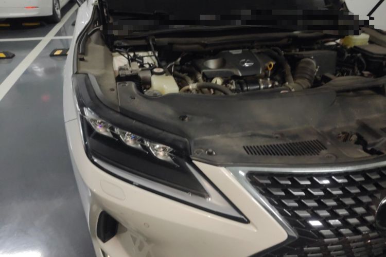 Used Lexus RX 2020 300 4x4 Elegant Edition China VI