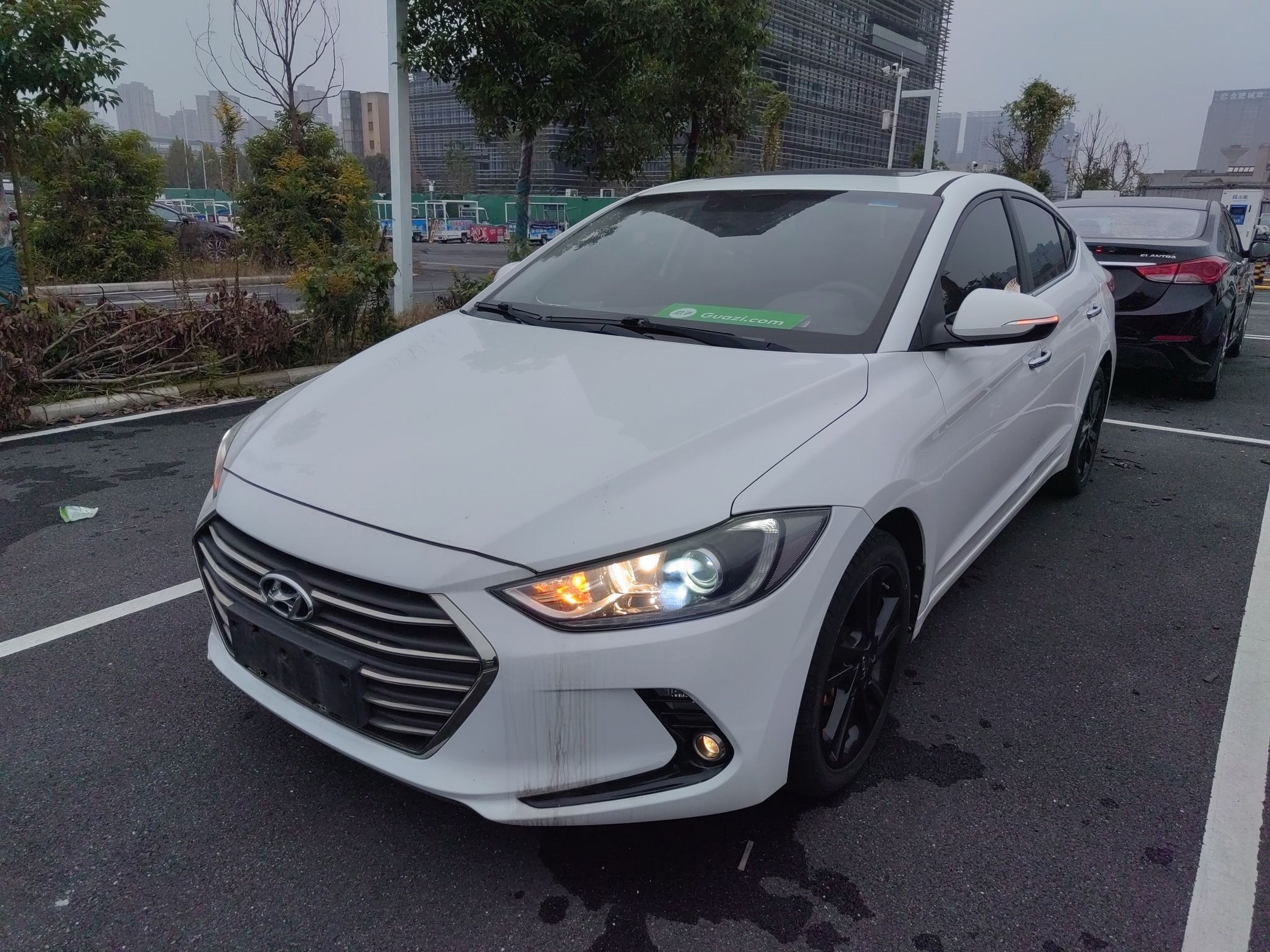 تحت مقدمة السيارة