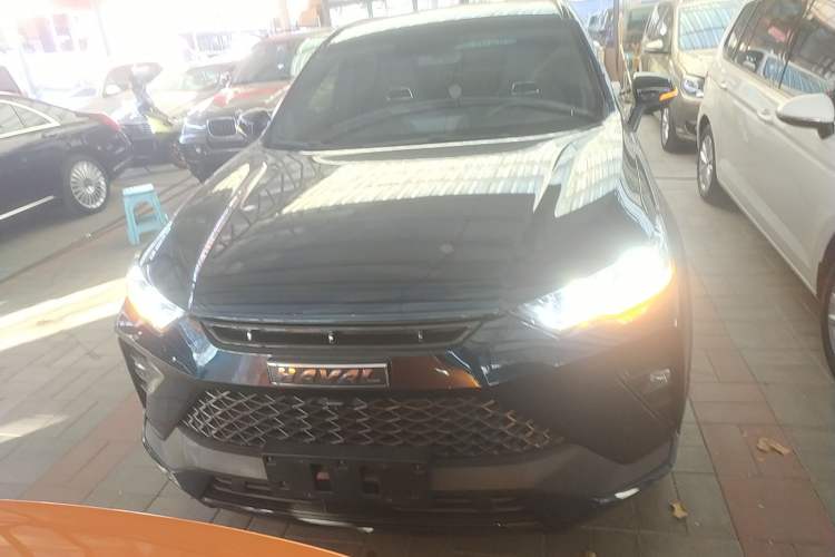 Used Haval H6S 2022 2.0T Two-Wheel Drive JoyRun Version
