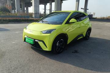 Used BYD Seagull 2023 Flying Edition