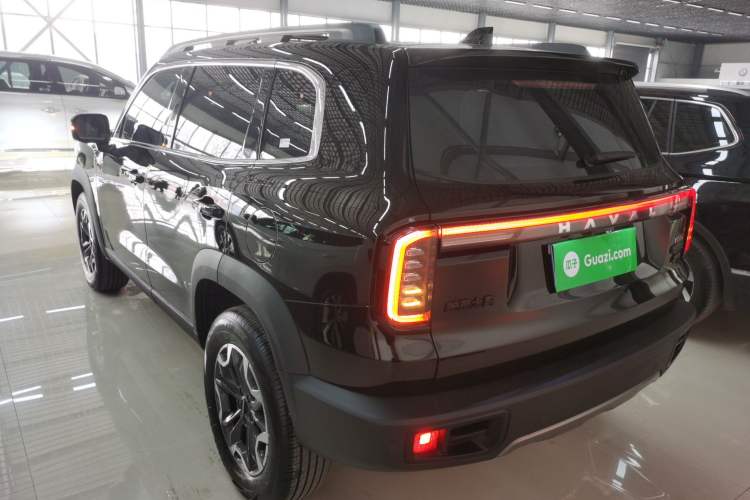 Used Haval DARGO 2024 2.0T DCT Chinese Rural Dog Edition