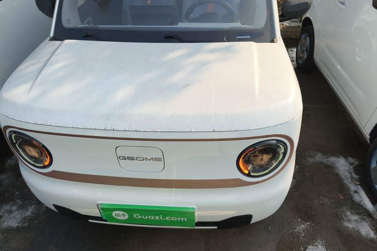 Used  Panda 2024 Panda Mini 200km Endurance Bear
