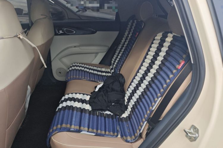 Used  Geome 2025 310km Dream Edition
