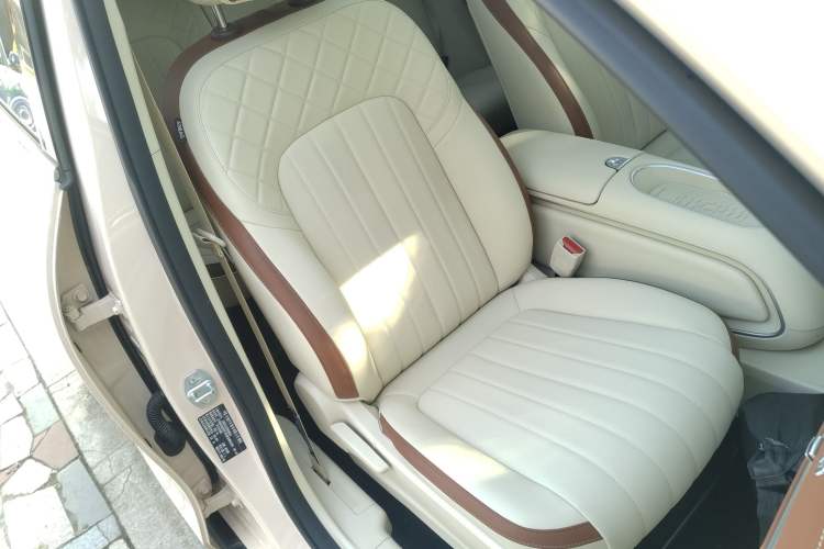 Used ORA Good Cat 2024 401 km Luxury Version
