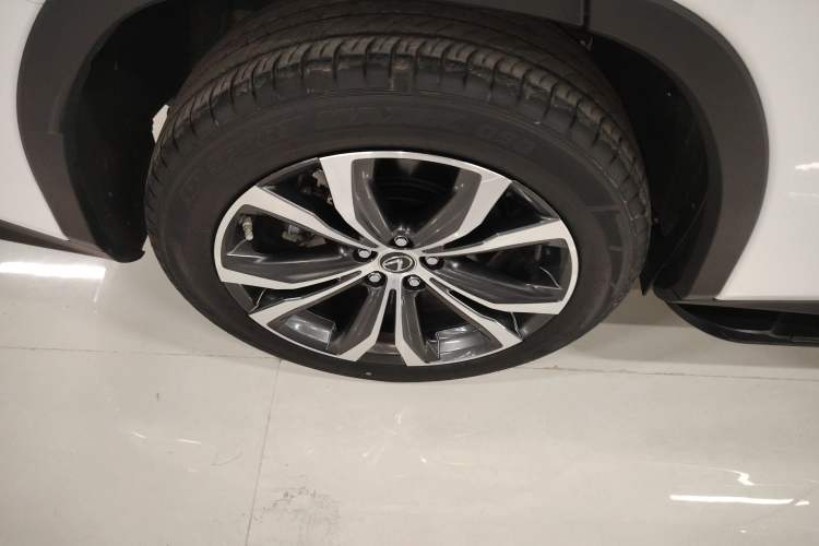 Used Lexus RX 2020 300 4x4 Elegant Edition China VI