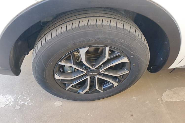 Used Haval H6 2023 National Trend Edition 1.5T Automatic Urban Version
