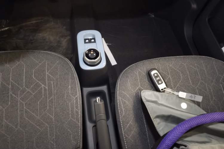 Used  Panda 2024 Panda Mini 200km Endurance Bear
