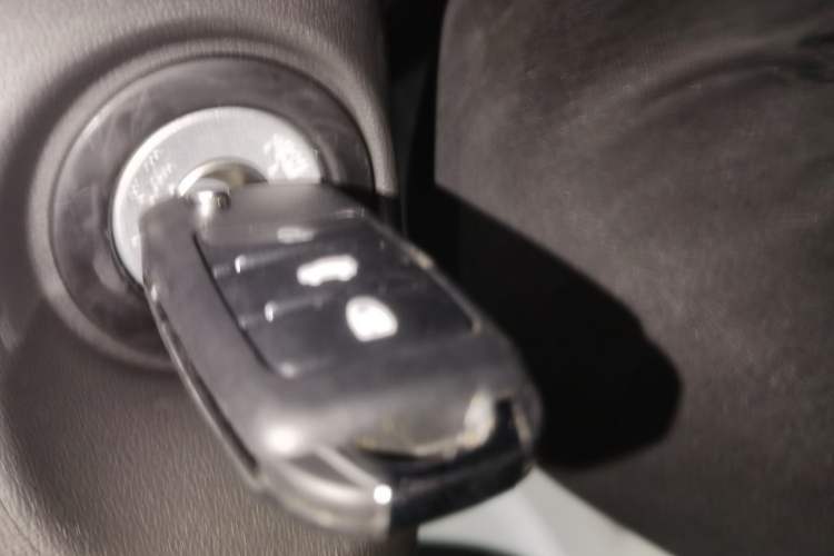 Used  Lumin 2024 130km Qingyue Version