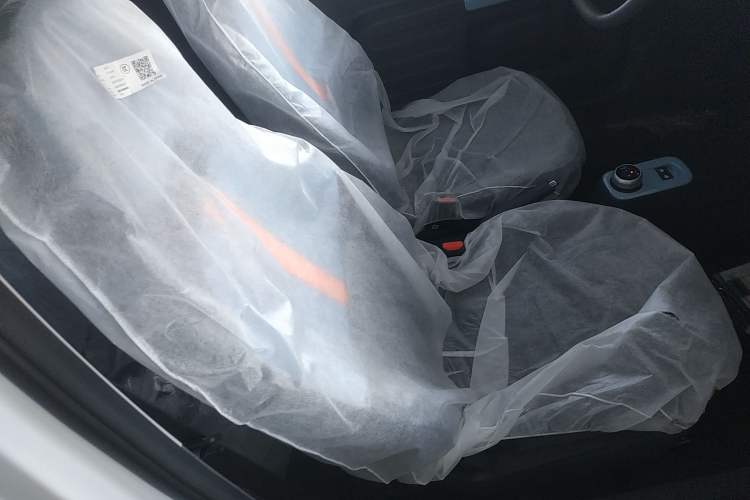 Used  Panda 2024 Panda Mini 200km Endurance Bear
