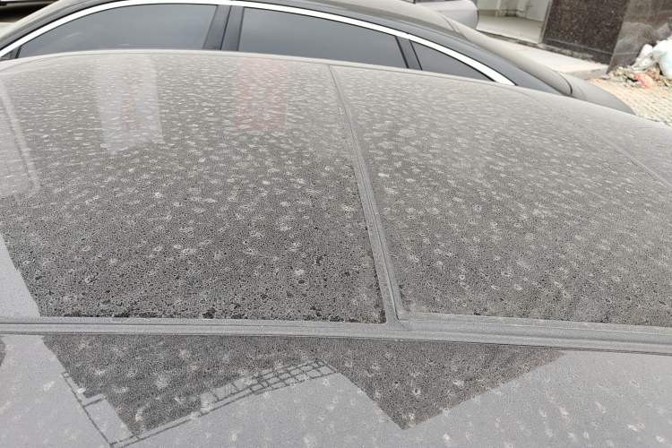 Used Hongqi H9 2023 2.0T Smart Connect Flagship Edition
