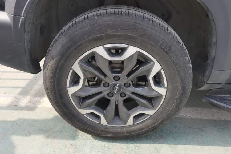 Used Haval DARGO 2024 2.0T DCT Chinese Rural Dog Edition
