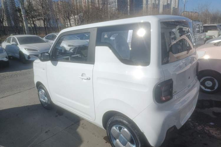 Used  Panda 2024 Panda Mini 200km Endurance Bear
