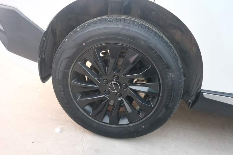 Used FORTHING T5 EVO 2024 Kungfeng Edition 1.5TD DCT Custom Model
