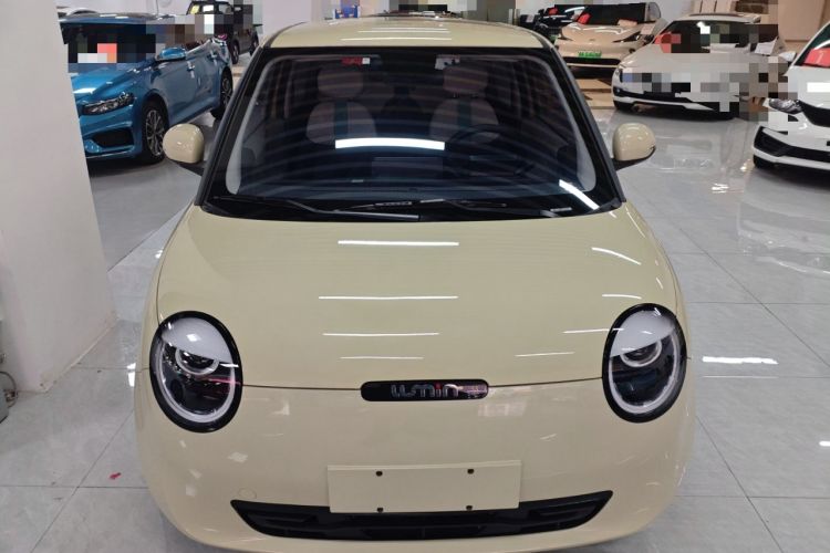 Used  Lumin 2023 301km Honey Dew Edition
