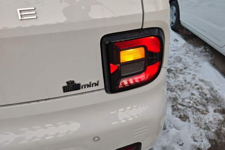 Used  Panda 2024 Panda Mini 200km Endurance Bear