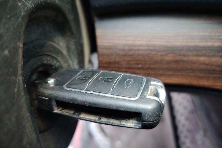 Used FORTHING Lingzhi PLUS 2022 Travel Edition 2.0L Manual Luxury Version 7 Seats