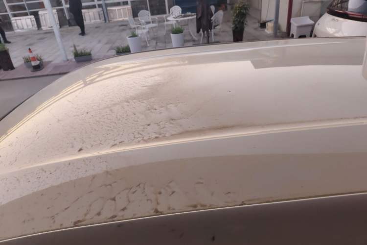 Used BYD Seagull 2024 Honor Edition 305km Dynamic Version