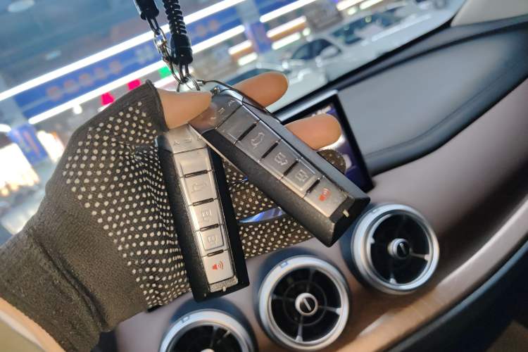 Used Wey VV5 2021 1.5T Two-Wheel Drive Color Pioneer
