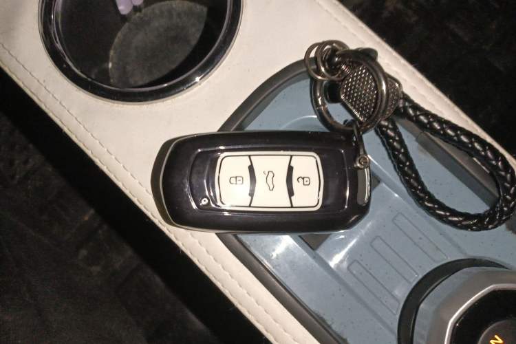 Used Geely Galaxy Panda 2023 Panda Mini 200km Endurance Bear
