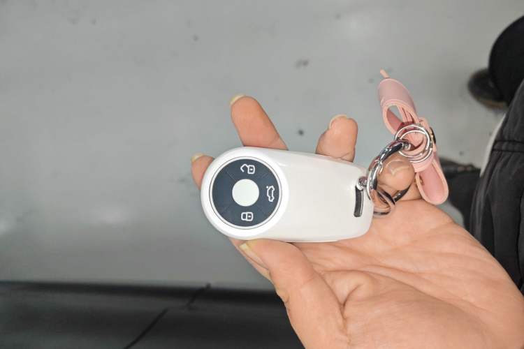 Used ORA Lightning Cat 2022 555 km Luxury Edition